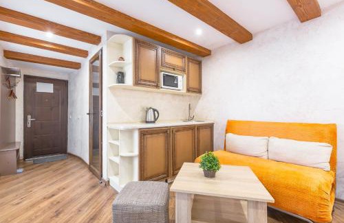 Lviv City Center Apartment | Сучасна квартира на Площі Ринок 3 після ремонту у місті Львові самий центер