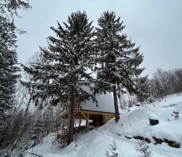 Yaremche House | Схованка