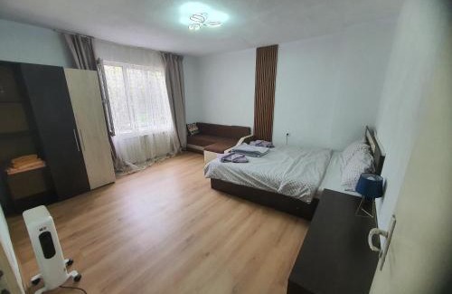 Sandanski Apartment | Тих двустаен самостоятелен апартамент с двор,до площада на Сандански
