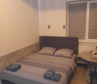 Uzhhorod Apartment | Ужгород Другетів