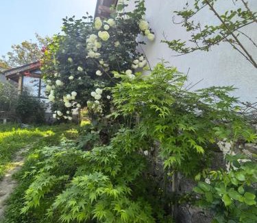 Hisarja Villa | Харизма