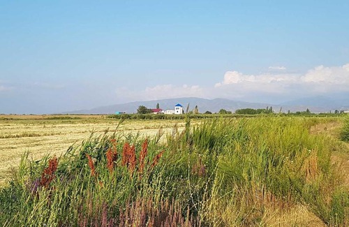 Issyk-Kul Region House | Хутор Белая Башня