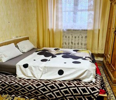 Dnipro Apartment | Центр,лік Мечнікова, парк Шевченко