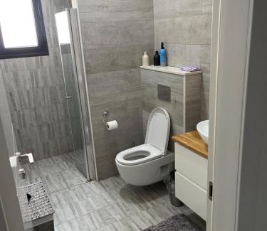 Yeruham Villa | וילת צאלים
