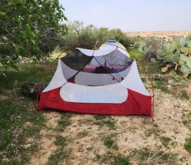Mitzpe Ramon Other | חוות נועם במדבר - noam farm