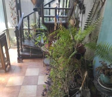 Ramat Negev Apartment | קצרין