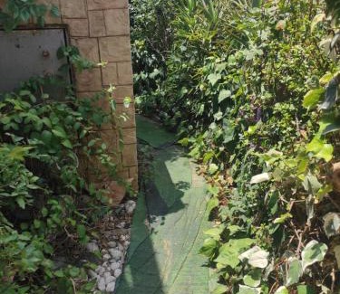 Ramat Negev Apartment | קצרין