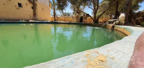Siwa Apartment | سيتى ستارز