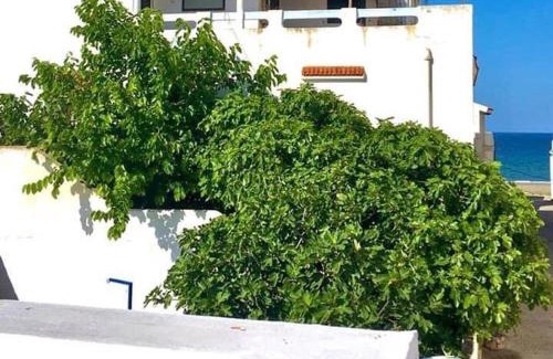 Oued Laou Apartment | منزل حوالي 50متر من البحر