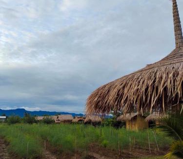 Chom Thong House | บ้านสวนกางโต้ง Ban Suan Kang Tong