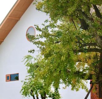 U Thong Villa | บ้านเติมฝัน พูลวิลล่า สุพรรณบุรี