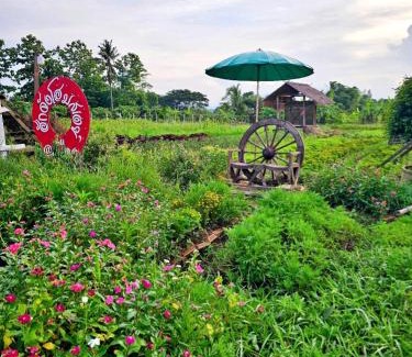 Mae Taeng House | ฮักจังโฮมสเตย์&คาเฟ่