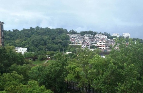 Xizhi District Apartment | 台北近郊鬧中取靜的好地方(內湖雅房)Nature beside Taipei City
