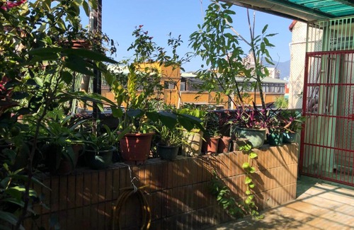 Luzhou Bed & Breakfast | 紅色鐵門
