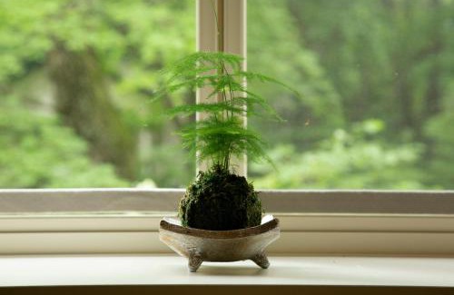 Tsumagoi Apartment | 花の街F220 #Nature Escape BBQ