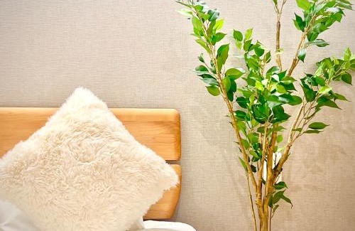 Chuo Apartment | 近秋叶原东京中心豪华大床房KGob 车站2分 4站可用 配奢华戴森 适合2人