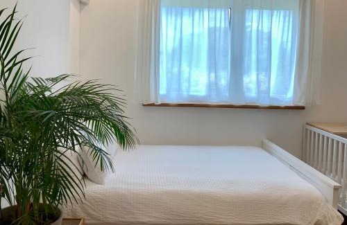 Jocheon House | 함덕리준하네