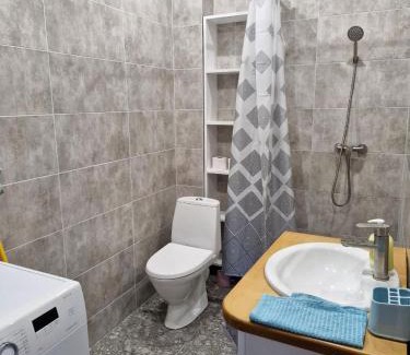 Polyana Apartment | 1кімнатна квартира Поляна, Грін Парк, 2 поверх