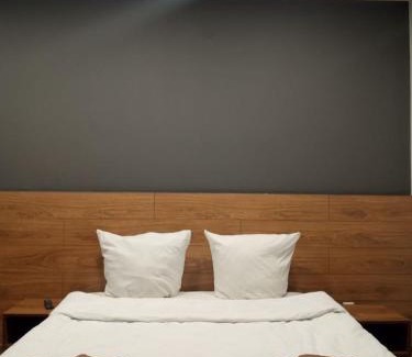 Uzhhorod Apartment | 1-комнатная квартира ВИП уровня посуточно в Ужгороде. ул.Другетов