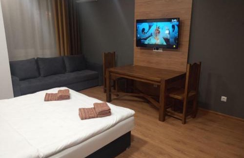 Uzhhorod Apartment | 1-комнатная квартира ВИП уровня посуточно в Ужгороде. ул.Другетов