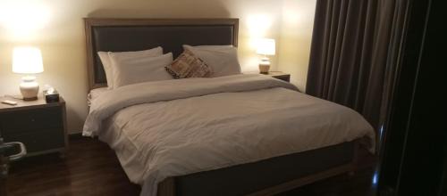 Blue Area Apartment | 1 Bed Room Suite Elysium Tower-Opposite Centaurus Mall Islamabad