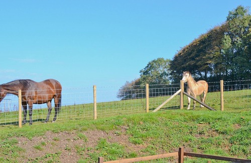 Mydroilin Cottage | 1 bedroom accommodation in Mydroilyn, near Newquay and Aberaeron