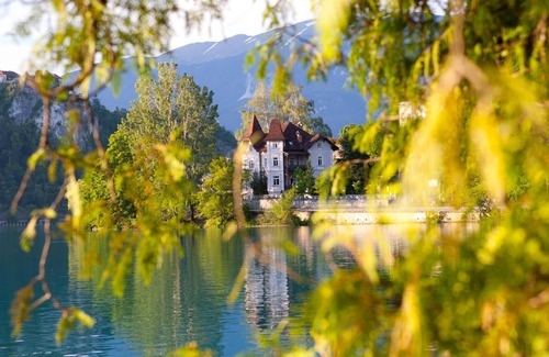 Zasip Apartment | 1 bedroom accommodation in Bled
