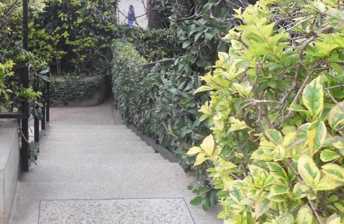 Kilimani Apartment | 1 bedroom apartment Samra X
