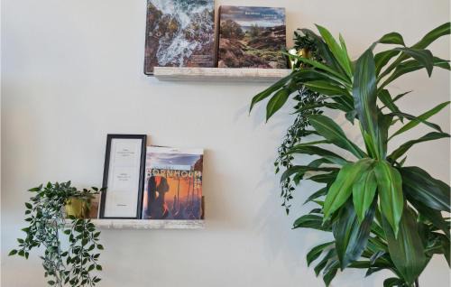 Sandvig Apartment | 1 Bedroom Awesome Apartment In Allinge