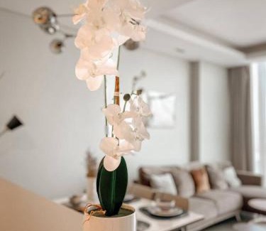 Manama Apartment | 1 Bedroom Luxury Penthouse Catamaran City View