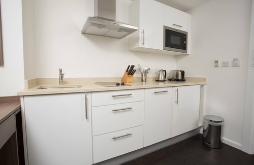 Birmingham City Centre Apartment | 1 Bedroom Suite in Birmingham | Perfect for Business Travellers + Free Wi-Fi