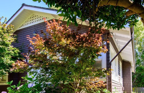 Mill Valley Cottage | 1 BR Large and sunny Garden Cottage in Downtown Mill Valley