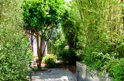 Mill Valley Cottage | 1 BR Large and sunny Garden Cottage in Downtown Mill Valley