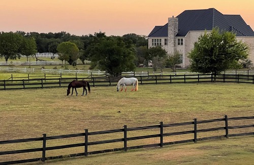 Cedar Creek Other | 1 of a kind guest house 15 mins from Austin Airport