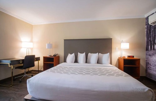 Ocala Hotel | 1 Queen Suite at Equus Inn, Pets Allowed, Seasonal Pool, Free Breakfast