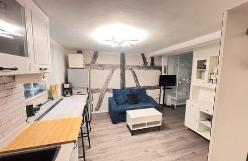 Ilversgehofen Apartment | 1-Raum Ferienwohnung