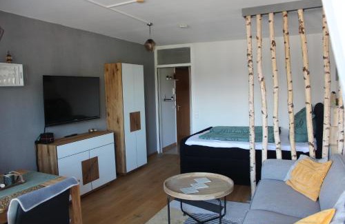 Schoenwald Apartment | 1-Zimmer-Apartment mit großem Balkon