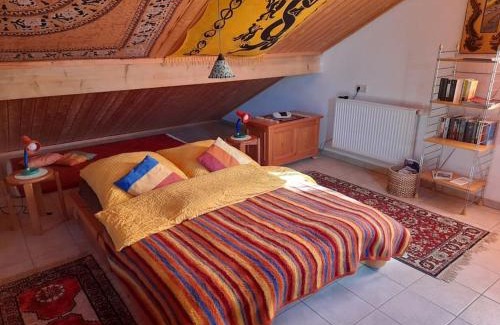 Hammelbach Apartment | 1-Zimmer-Studio am Waldrand