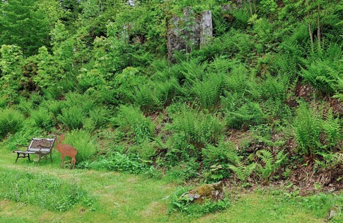 Furtwangen Apartment | 106 m² Apartment ∙ 2 bedrooms ∙ 6 guests