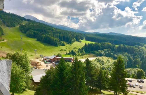 Villard-de-Lans Apartment | 10m from ski slopes, 7th floor, balcony, parking, tv, ski locker, 24m², Villard de Lans