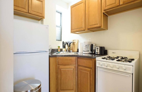 Ukrainian Village Apartment | 11-4 Renovated 1br in East Village