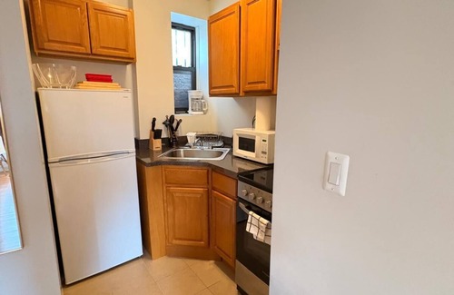 Ukrainian Village Apartment | 11-4 Renovated 1br in East Village