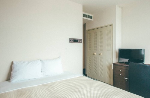 Toyohashi Hotel | 11 m² Hotel ∙ 1 bedroom ∙ 2 guests