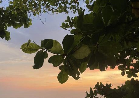 Arambol Hostel | 12 Monks - Beachfront Hostel
