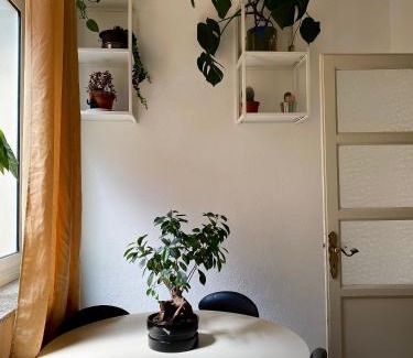 Palermo Bed & Breakfast | 13 Open House