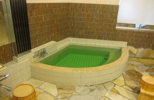 Takaoka Hotel | 14 m² Hotel ∙ 1 bedroom ∙ 3 guests