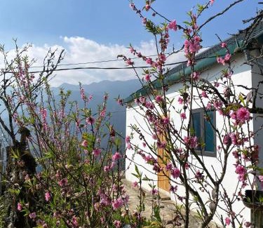 Sa Pa Villa | 1579 Homestay Sapa - Venuestay