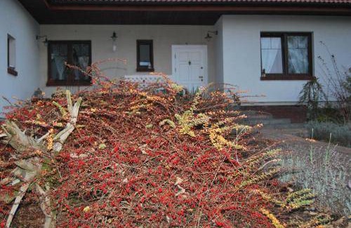 Strykow Bed & Breakfast | 16 m² Bed and breakfast ∙ 2 guests