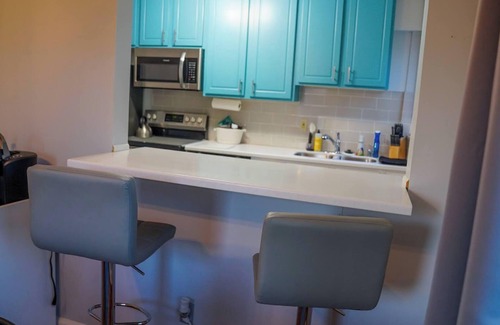 Franklin Park Apartment | 1750. Cozy 2BR Condo with Wi-Fi. Quick Drive to Airport and Park Views