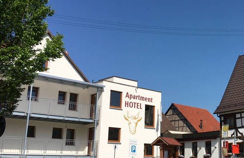 Moessingen Apartment | 18 m² Studio flat ∙ 1 guest